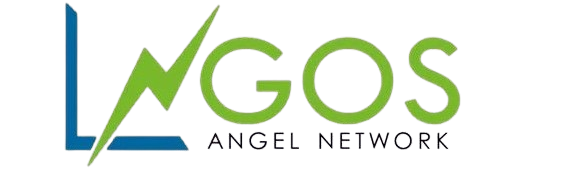 Lagos Angel Network